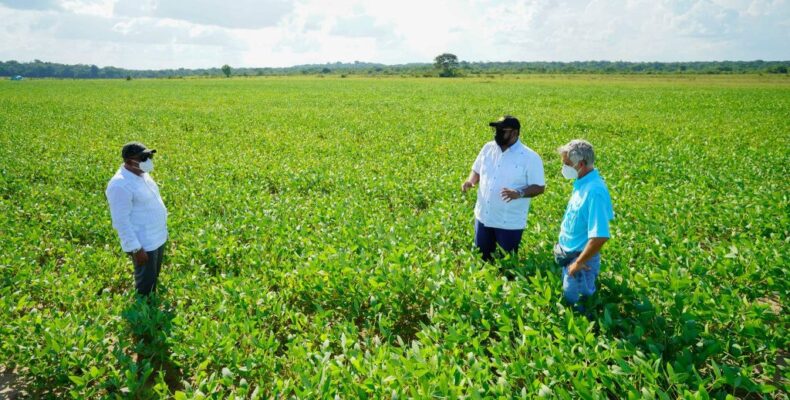 Guyana-led agri agenda progressing with more free movement of people, goods