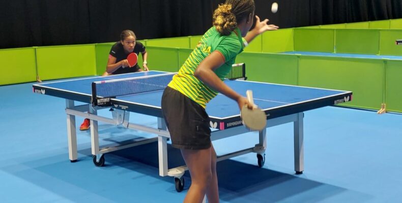 Commonwealth Games: Tough draw for Table Tennis team 