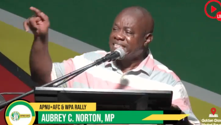 Norton suspects Government might call early national elections; Urges supporters to be mobilised