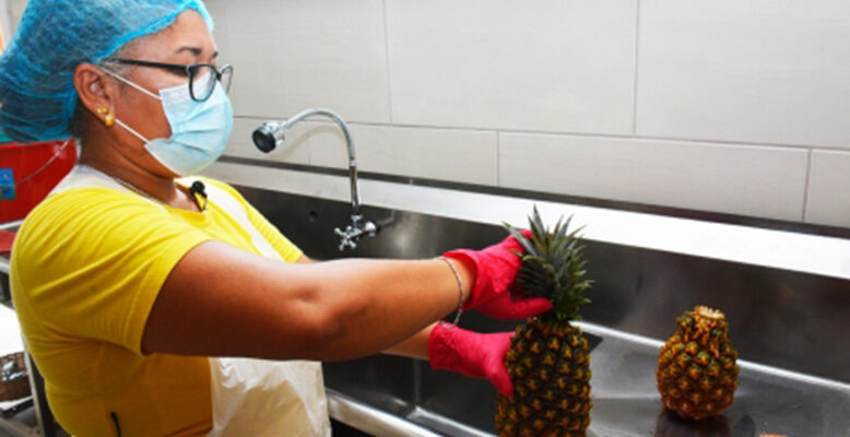 Pineapple potential written all over the sandy soil of Suriname