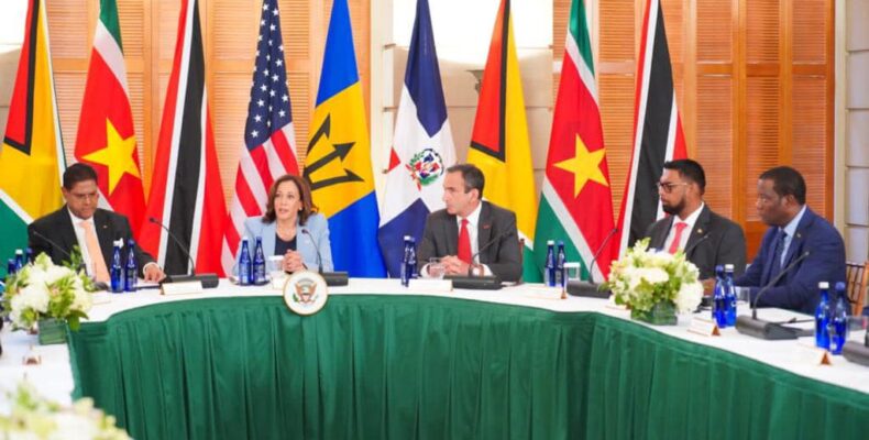 Guyana makes pitch for more US support amid focus on production, trade