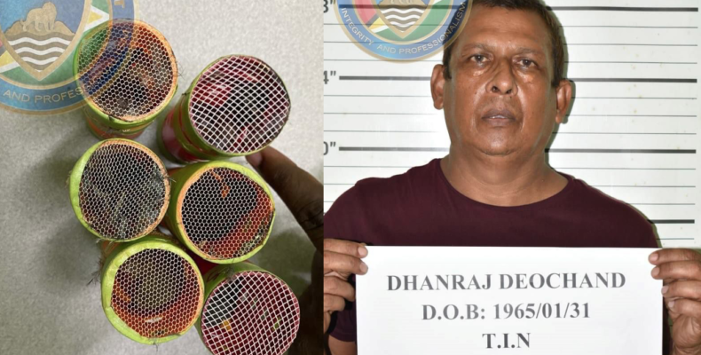 Essequibo man held with “towa-towa” birds in hair curlers at CJIA