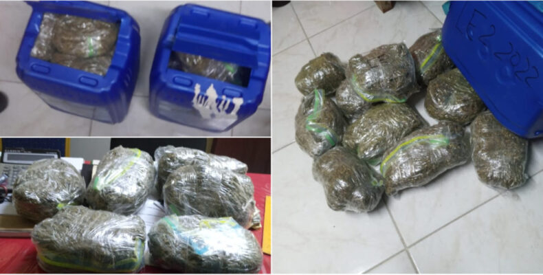 15lbs of ganja seized during operation at Farm Village