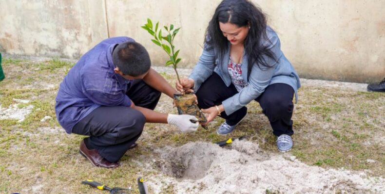 Child Protection week commences with tree planting exercise